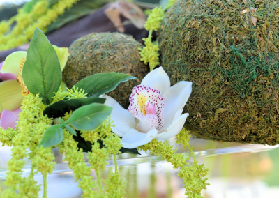 Orchids and moss balls arrangement on a buffet for an outdoor event in Ocala, Florida.