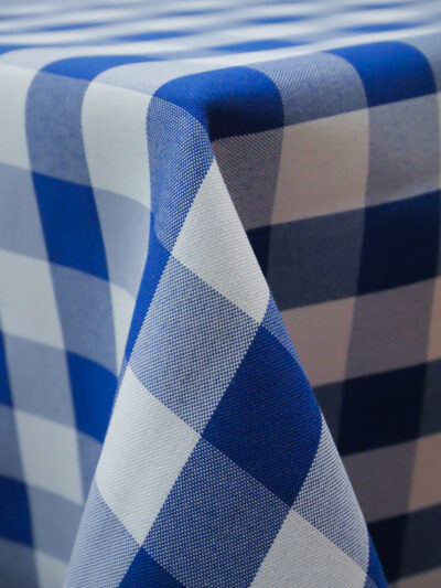 BLUE & WHITE CHECK