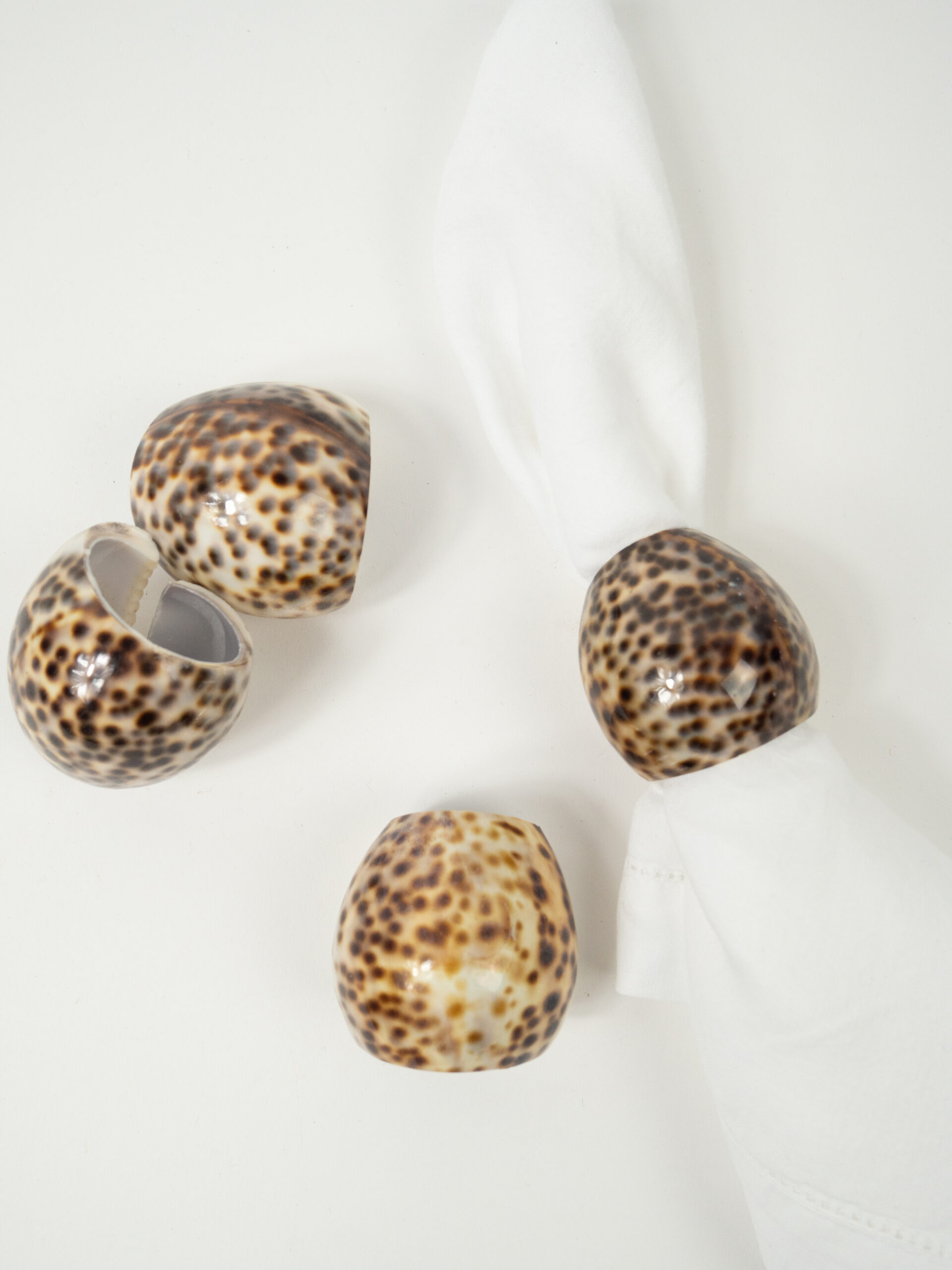COWRIE SHELL NAPKIN RING