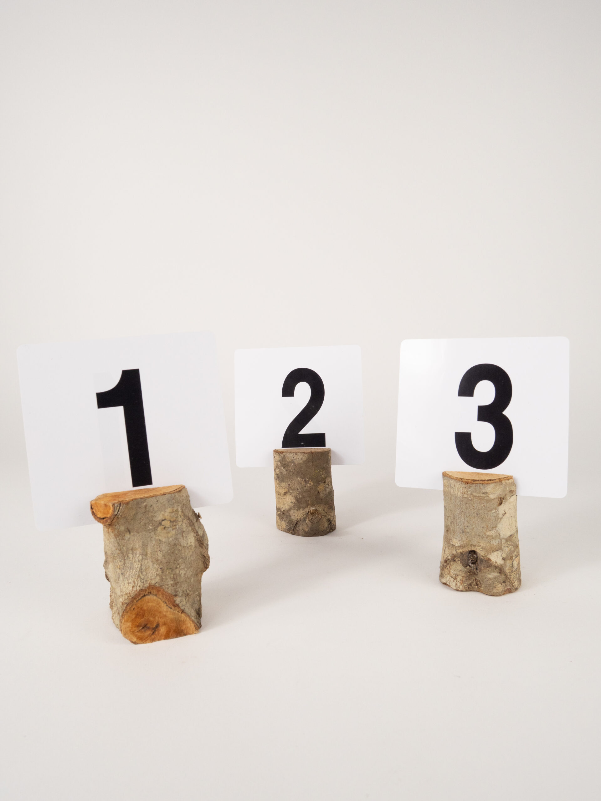 TREE STUMP TABLE NUMBER STAND