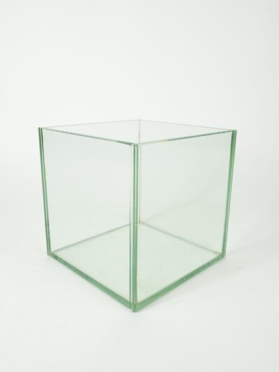 PLATE GLASS CUBE VASE 8"