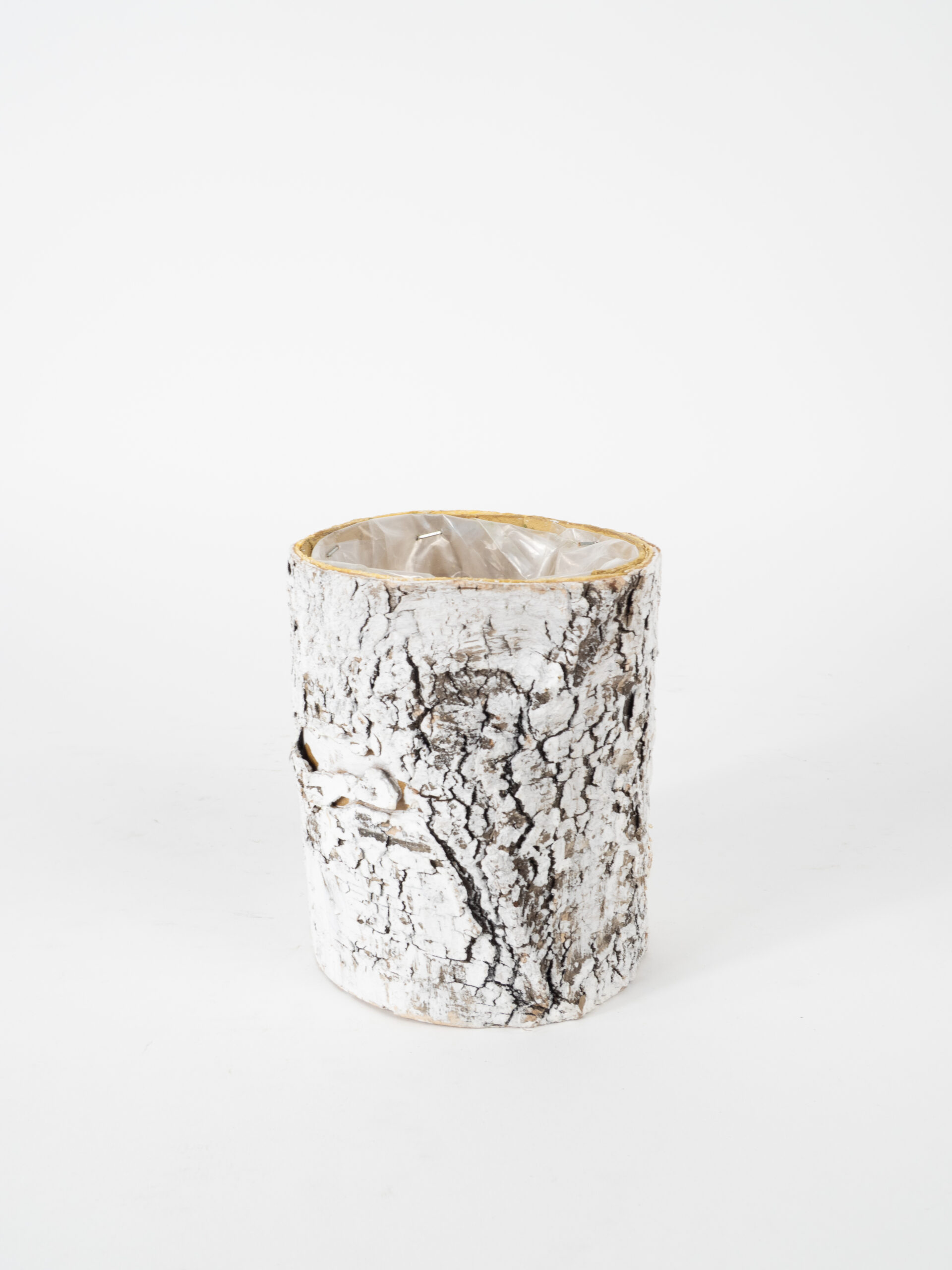 WHITE BIRCH CYLINDER VASE
