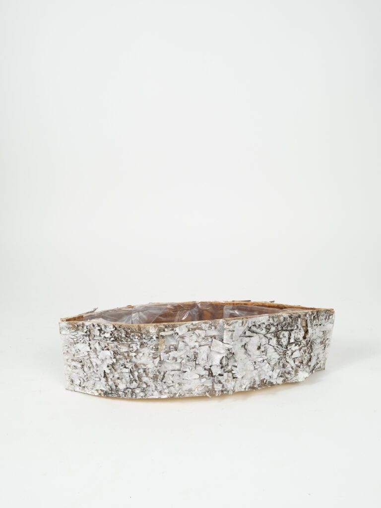 WHITE BIRCH PLANTER