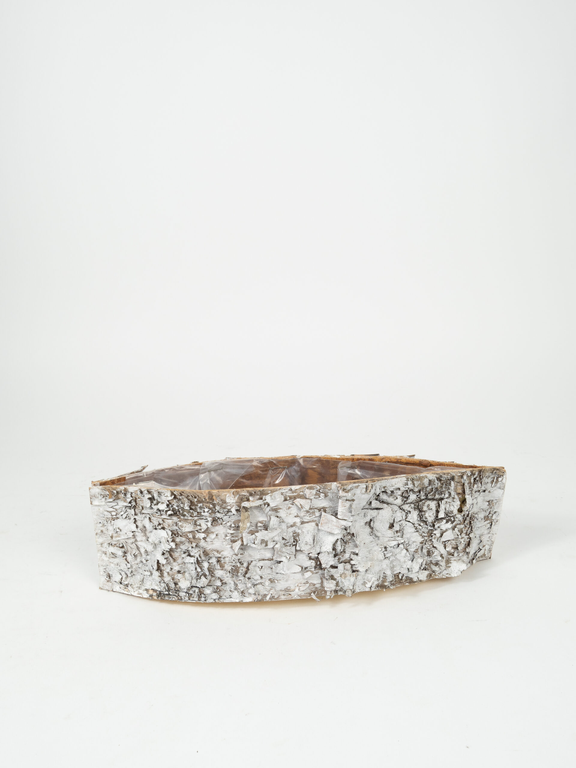 WHITE BIRCH PLANTER