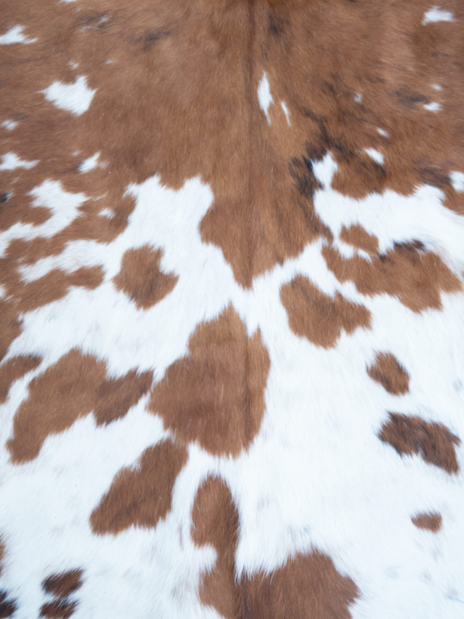 SPOTTED COWHIDE