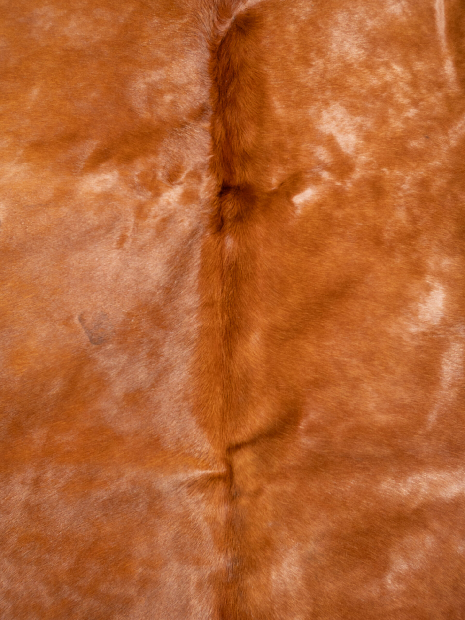 CARAMEL COWHIDE