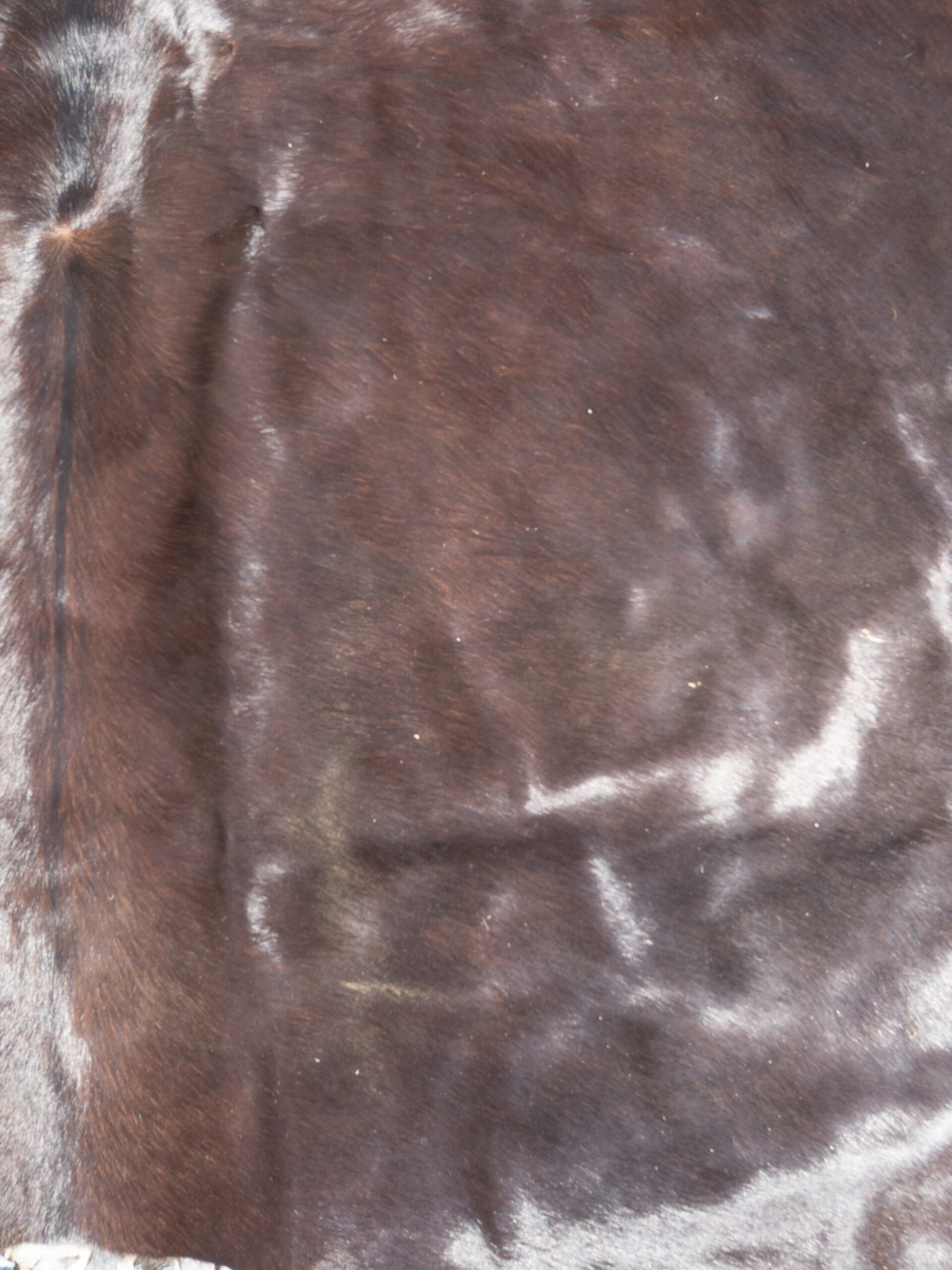 MOCHA COWHIDE