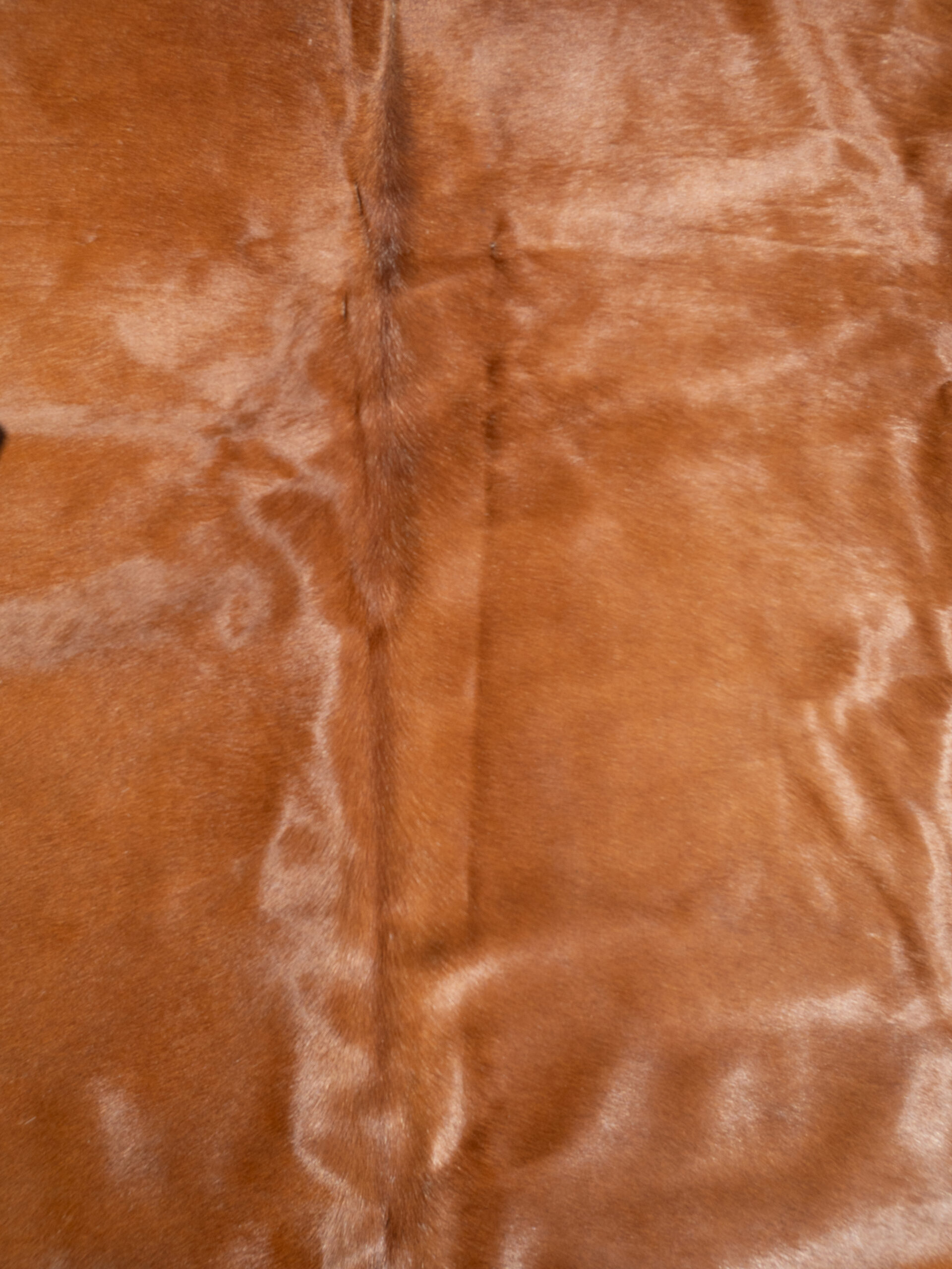 CINNAMON COWHIDE