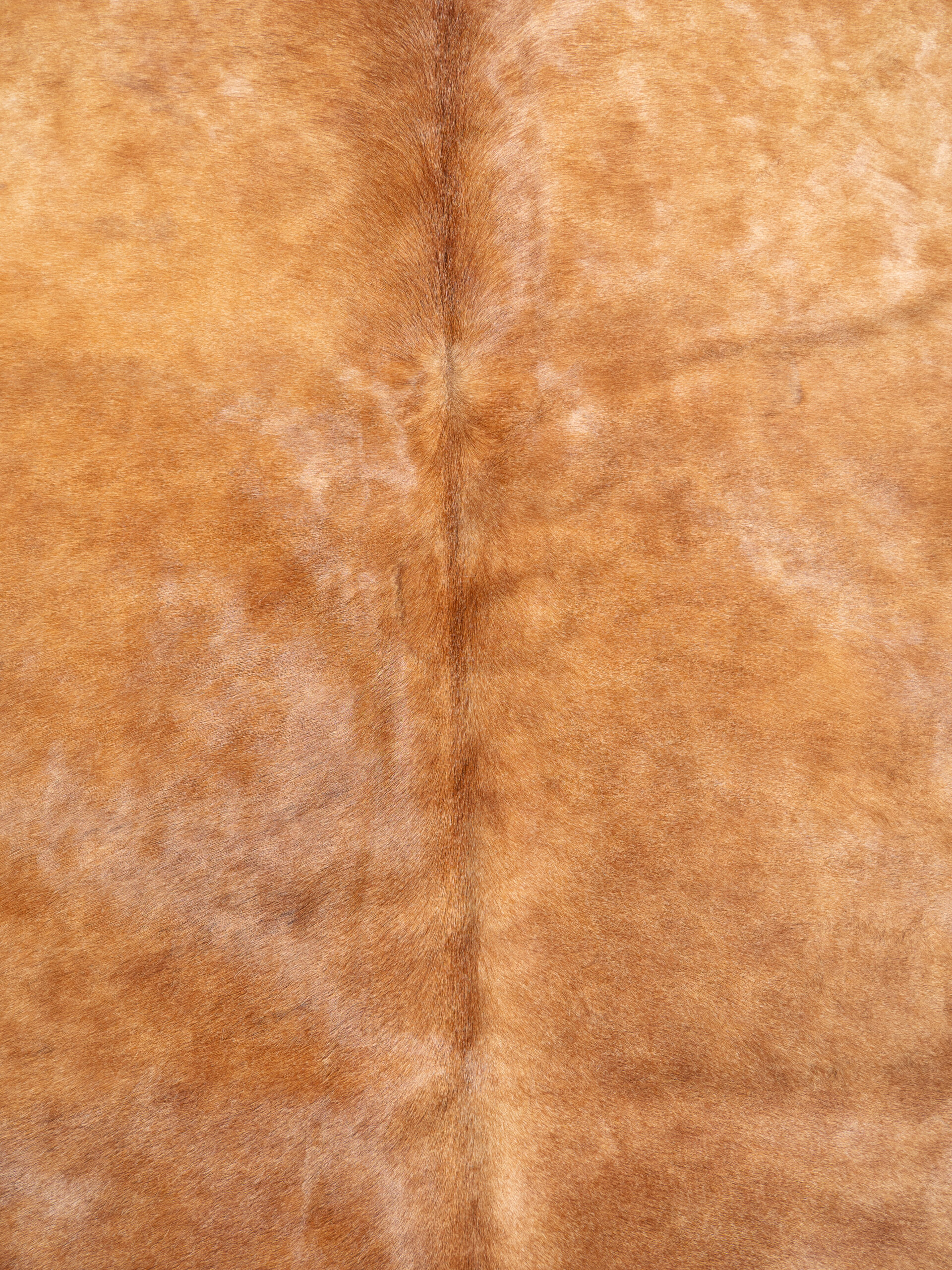 CAMEL COWHIDE