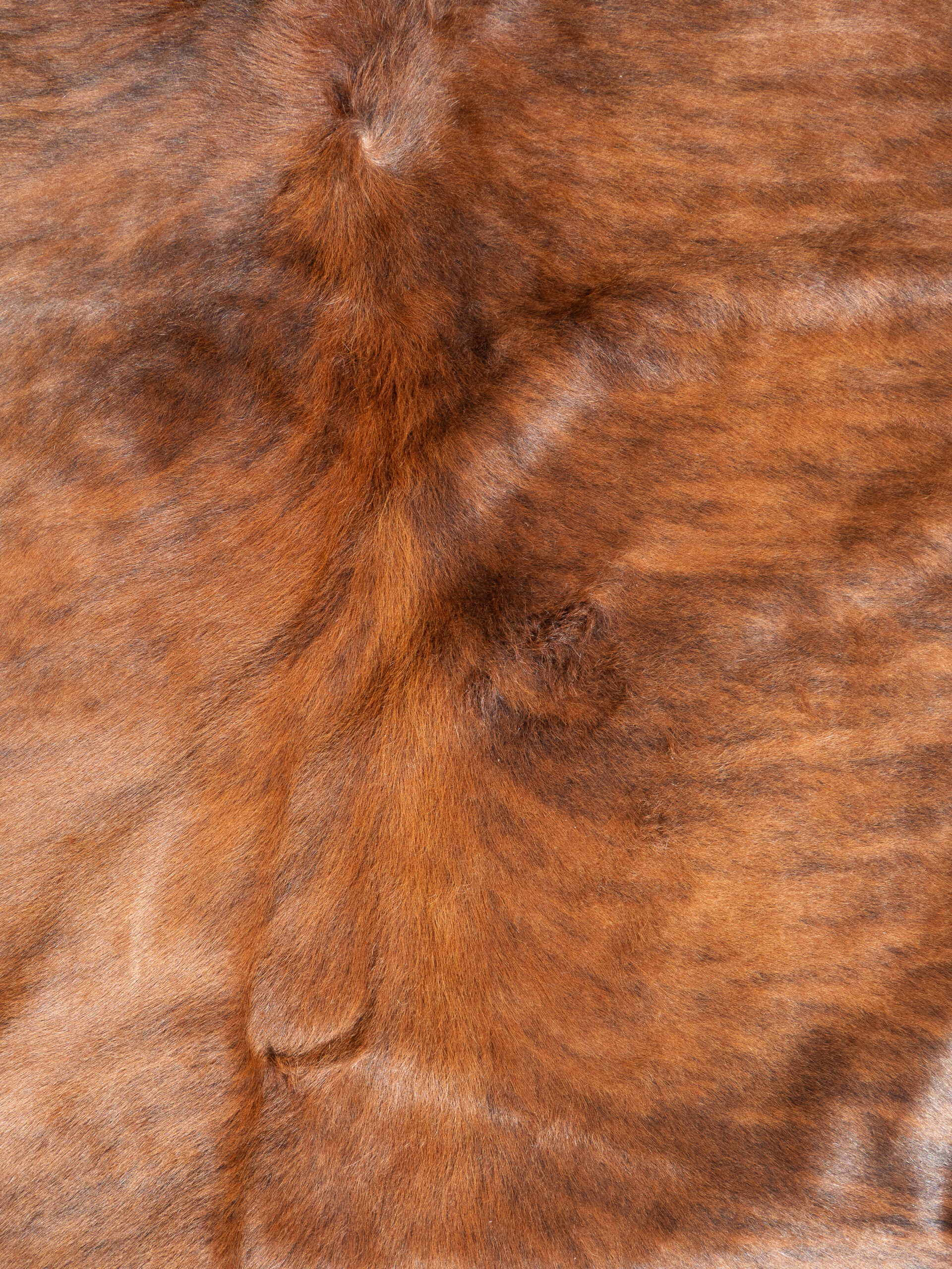 BRINDLED COWHIDE