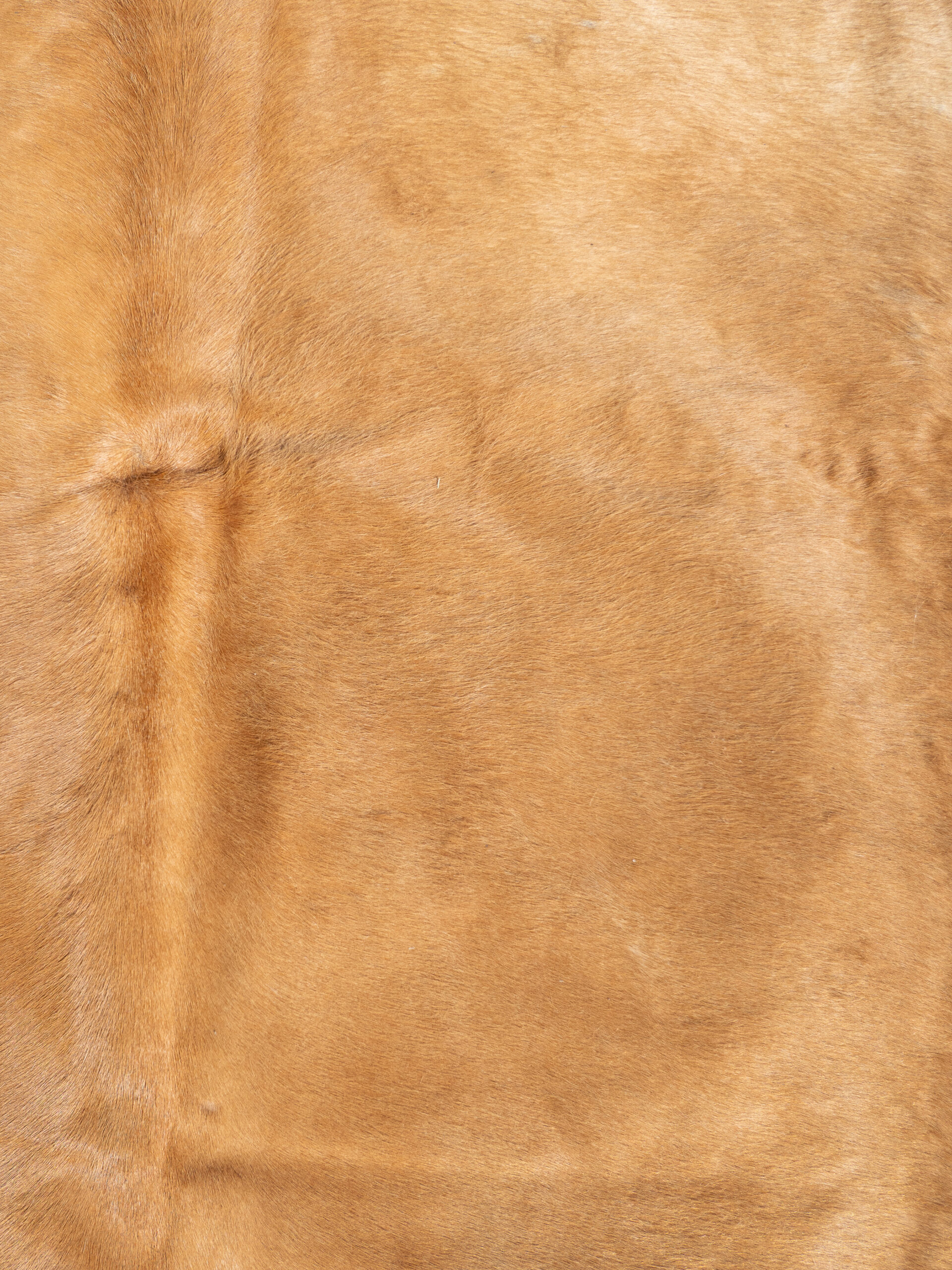 LIGHT TAN COWHIDE