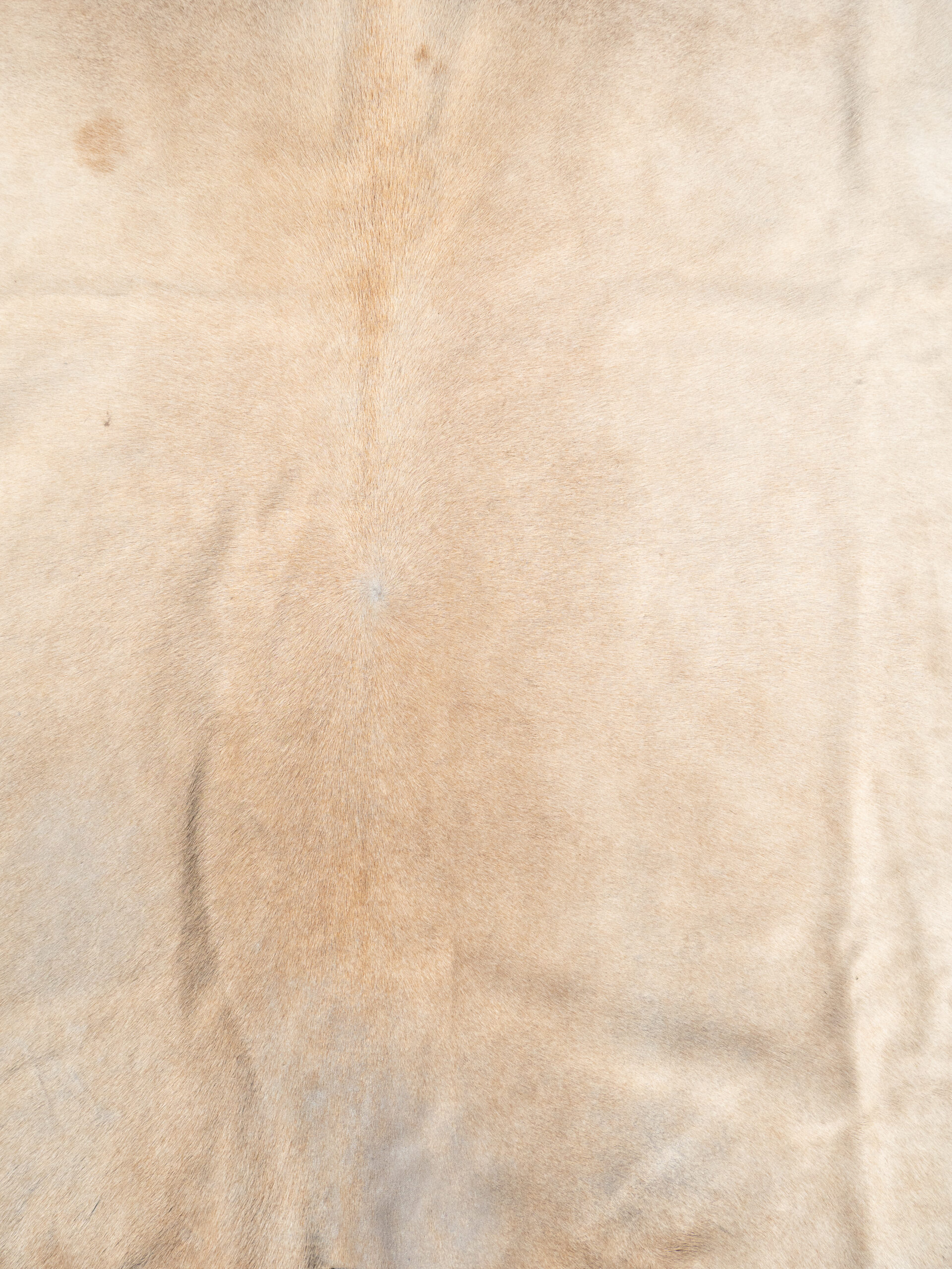CREAM COWHIDE